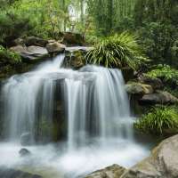 Tao en acción: Intensivo de Tao Yin y Chi Kung