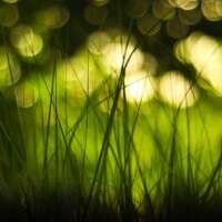 Intensivo de Meditación