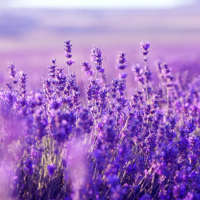 Taller de Espiritualidad Intensivo