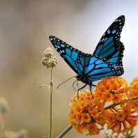 Tanatología 2025 - 2026